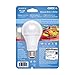 Cree SA21-16050MDFD-12DE26-1-11 Led 100W Replacement A21 Daylight (5000K) Dimmable Light Bulb,