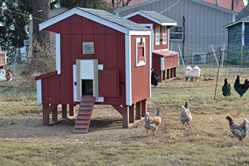 3 Automatic+Chicken+Coop+Door+Opener