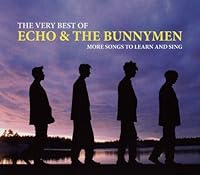Echo & The Bunnymen Ablum Cover