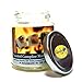 Scented Jar Candle - Highly Scented - Made with Plant Based Wax - Handmade in The USA - Candeo Candle (Toasted Marshmallow, Small Jar)