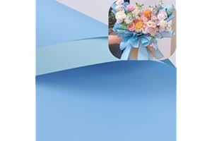 XICHEN 20 Sheets/Double-Sided Colors Flower Wrapping Paper,Waterproof Florist Bouquet Paper,DIY Crafts,Different Double-Sided Colors 58 x 58cm(22.8x 22.8 inch) (Water blue +Light blue)