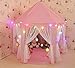 InnoFun Indoor Kids Princess Castle Play Tent,Pink,Balls Not Included