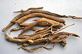 SILENE CAPENSIS (Dried) 10g African Dream Root by TheHerbalShop