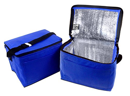 foil lined lunch bag