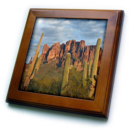 3dRose Saguaros and Superstition Mountains, Lost Dutchman State Park, Arizona F…