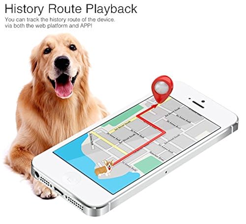 Pet Tracker,GPS Dog Collar GPS Tracker for Dogs Dog Waterproof GPS