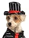 Rubie's Gangster Pet Costume, Medium, Multicolor