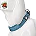 Chai's Choice Dog Collar Small (Teal Blue) | Comfortable & Stylish Pet Collar with Adjustable Strap Soft Padded | No-Choke & Quick Release | 3M Reflective Stripes for Dog Visibility