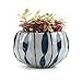 T4U 4.25 Inch Ceramic Japanese Style Clay Serial Blue Flower Succulent Plant Pot Cactus Plant Pot Flower Pot Container Planter