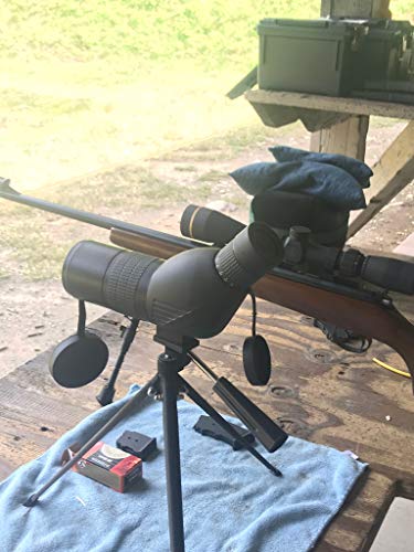 6 Roxant+Authentic+Blackbird+Definition+Spotting