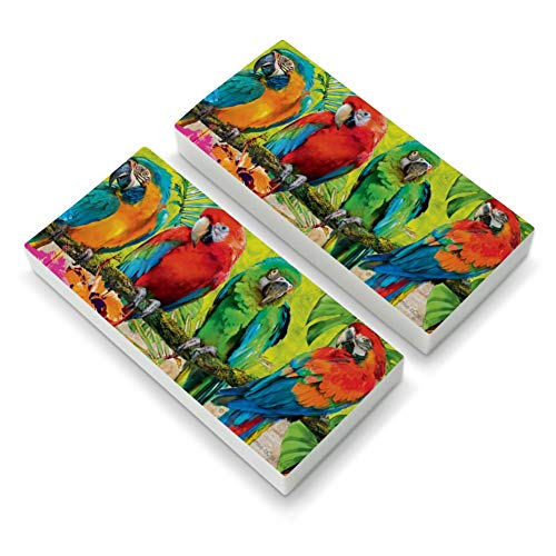 Colorful Tropical Rainforest Parrots Eraser Set of 2