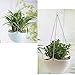 Cosmos Set of 2 Replacement Iron Garden Planter Flower Pot Basket Hanging Chain