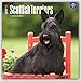 Scottish Terriers 2017 Square (Multilingual Edition)