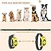 ACAPETTY Dog Collar,2 Dog Training Collar with Remote Control, Rechargeable Waterproof E-Collar for Dogs, Multi Training Modes, Beep, Vibration and for Pet Training (with One Receiver)thumb 4
