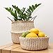 Seagrass Planter Basket | Decorative Woven Belly Basket | Picnic Basket or Indoor Storage for Blankets, Toys or Laundry, by Toma Design (Natural, Large)