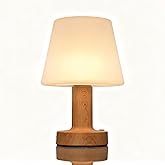 AuroraNiteBeam Shower Lamp Mushroom Lamp LED Table Lamp for Bedroom 3-Level Dimmable Rechargeable Desk Bedside Small Lamps Ni