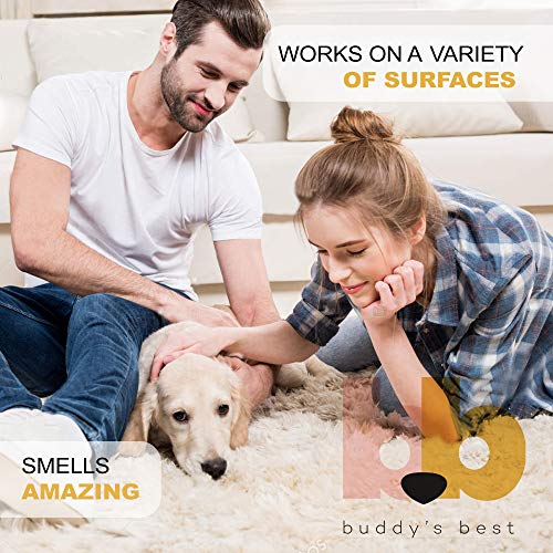 Buddy's Best, Pet Urine Odor Eliminator, Deodorizer, and Stain Remover - Enzymatic Cleaner for Dog Urine - Effective… - Image 6