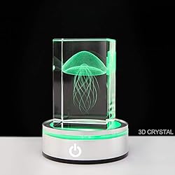 IFOLAINA LED Light Base Lighted Display Stand for