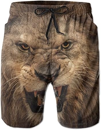 Nice Elastic Beach Shorts The Moment Style Man Roaring Lion