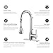 pH7 F04 1-hole or 3-holes Plastic Pull-down Kitchen Sink Faucet with Deck Plate; 1- handle Kitchen Faucet; Excellent Finish, Nylon Hose, and Docking System, Chorme