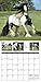 Gypsy Vanner Horse 2018 Calendar