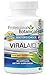 Viral-Aid - Viral Support 60 ct