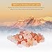 Syntus Himalayan Salt Lamp Natural Pink Salt Rock Lamps Metal Basket Lamp Glow Hand Carved Night Lights Wall Light with Sculptured Iron Basket, 2 Bulbs for Lighting, Heart