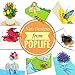 PopLife Snowy Owl 3D Pop Up Card for All Occasions - Happy Anniversary Pop Up Graduation Card, Popup Birthday Card - Father's Day, Thank You - Wise Magical Bird - For Mom, for Dad, for Daughter, Son