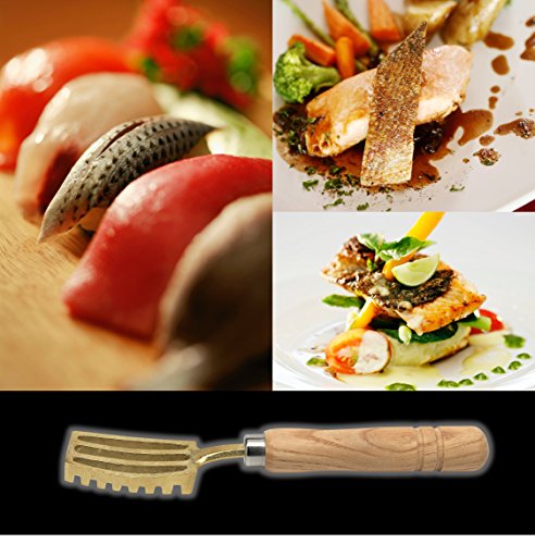 Kwizing-Made-in-Japan-Fish-Scaler-Brush-with-Brass-Serrated-Sawtooth-and-Ergonomic-Wooden-Handle-Easily-Remove-Fish-Scales-Without-Fuss-Or-Mess-Handcrafted-by-Japanese-Artisans