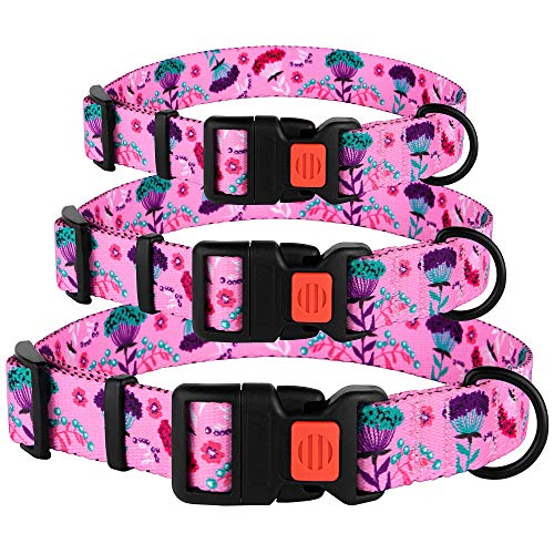 CollarDirect Floral Dog Collar Nylon Pattern Flower Print Adjustable Pet Collars for Dogs Small