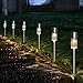 Westinghouse Solar Path Light LED Landscape Light Warm White Stainless Steel Solar Lights Outdoor Waterproof for Lawn,Garden,Patio,Walkway,Driveway (10-Pack)