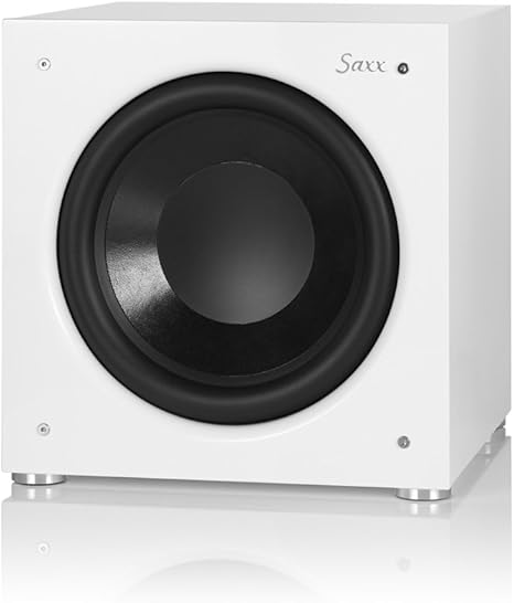 ds12 subwoofer