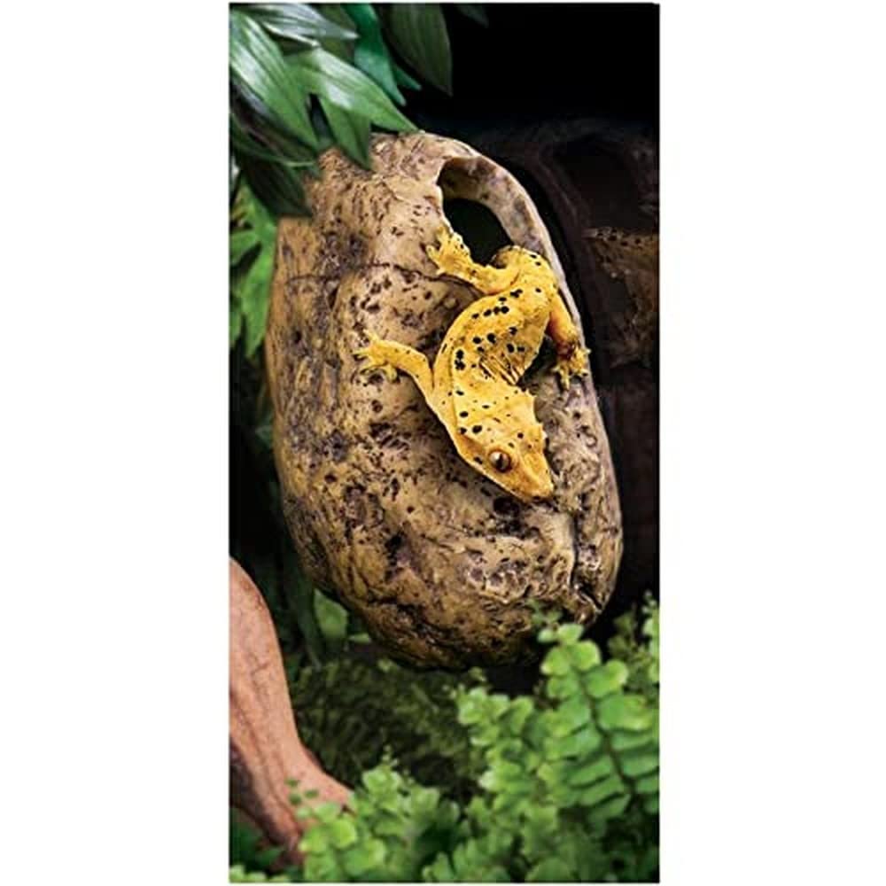 Exo Terra Canopy Cave