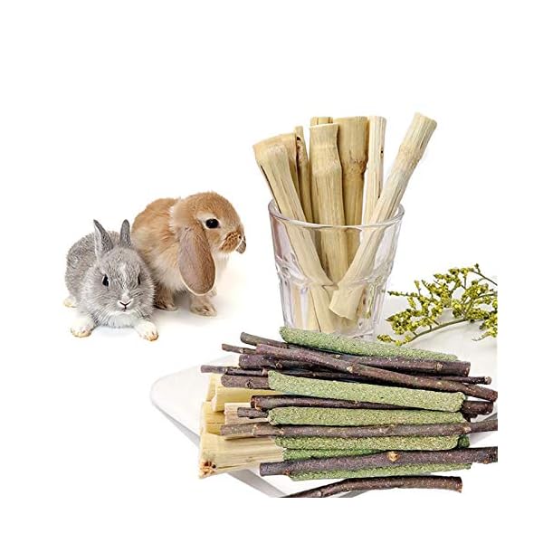 XIAO MO GU Bunny Chew Toys, 3 Types Rabbit Hamster Toys with Apple Wood Sticks Teeth Grinding Toy for Rabbits Bunny…
