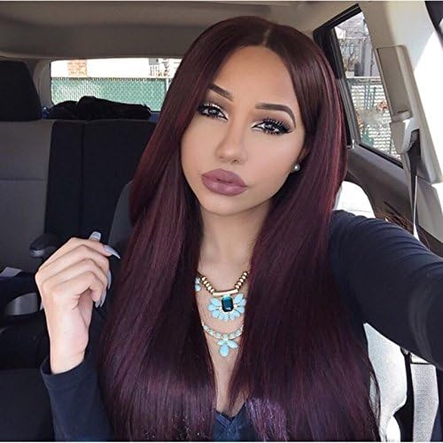 Kerrywigs Brazilian Human Hair Purple Color Lace Front Wigs Glueless Silky Straight Lace Wigs for Women 130 Density (20inch)