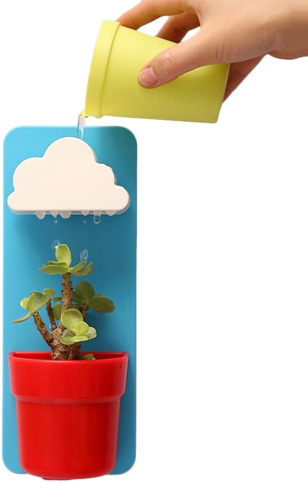 1Pcs Cloud-Shaped Indoor Wall Mount Rainy Pot Hanging flower Pot