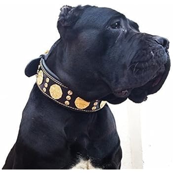 Amazoncom Bestiasthe General Genuine Leather Handmade