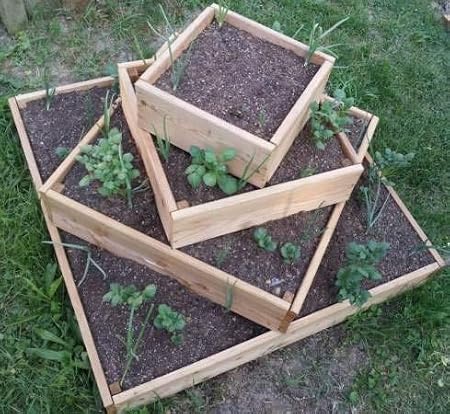 bio-garten - Jardinera Alta piramidal para Patatas, Hierbas y ...
