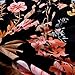 YMY Lightweight Microfiber Bedding Duvet Cover Set, Floral Print Pattern (Floral in Black, Queen)