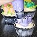 8 Russian Piping Tips With Video Instructions - Coupler, Pastry Bag, Storage Box - Flower Icing Nozzles Tool Set - BakeLux