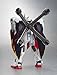Bandai Tamashii Nations Robot Spirits Crossbone Gundam Full Cloth