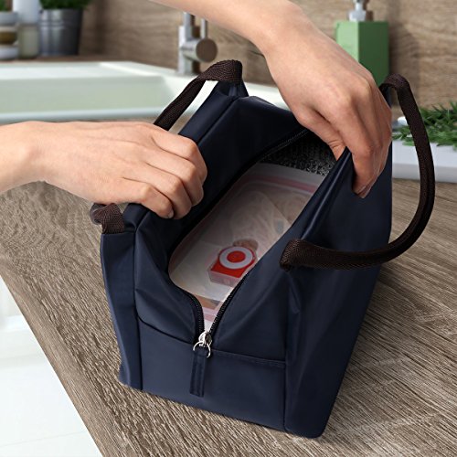 Philorn Reusable Insulated Lunch Bag Sturdy Oxford Box Tote with Zipper for Men, Women, Adult, Picnic and Work (Dark Blue)