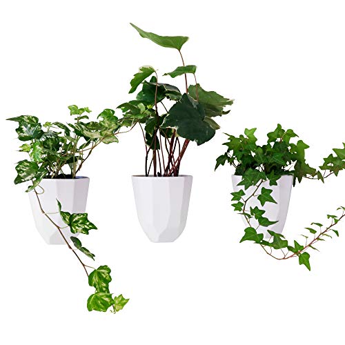 Melamine Wall Planters, White, Set of 3