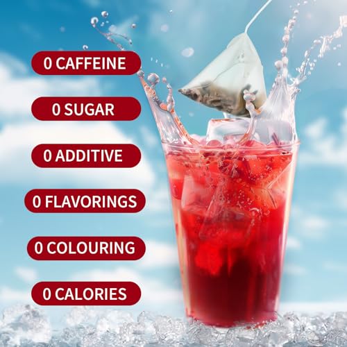 LIPBUSY CARE HIBISCUS TANGERINE COLD BREW TEA BAGS, CAFFEINE FREE 10 BAGS (PACK OF 1), NATURAL DRIED HIBISCUS FLOWERS HERBAL TEA, TE FLOR DE JAMAICA ORGANICA FOR BLOOD PRESSURE -HOT OR ICED TEA