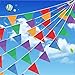 TSMD 750 Ft Multicolor Pennant Banners String Flag Banner, 600Pcs Nylon Fabric Pennant Flags for Grand Opening,Party Festivals Decorations