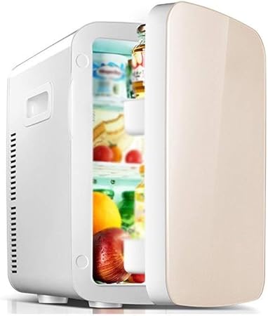 refrigerator for car amazon