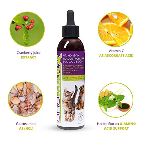 3 UroMAXX+Urinary+Kidney+Bladder+Formula