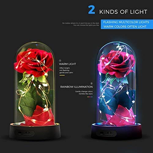 ucho Deluxsa Beauty and The Beast Rose,Enchanted Rose Lamp with Petals & LED Light,Last Forever Rose for Home Decor Holiday Party Anniversary Wedding
