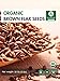 Naturevibe Botanicals Organic Brown Flax Seed (2lb), Gluten-Free & Non-GMO (32 ounces)