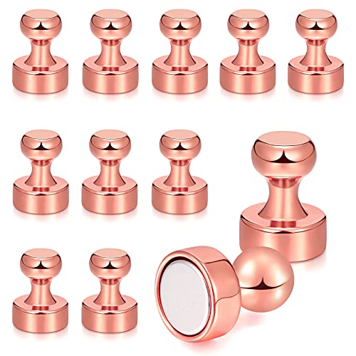 Fantecy 12 Pieces Push Pins Thumb Tacks Pins